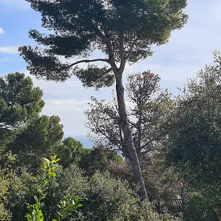 Apartment, Short Walk To The דירה
