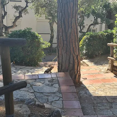 Apartment, Short Walk To The קאלייה דה פאלאפרוג'ל