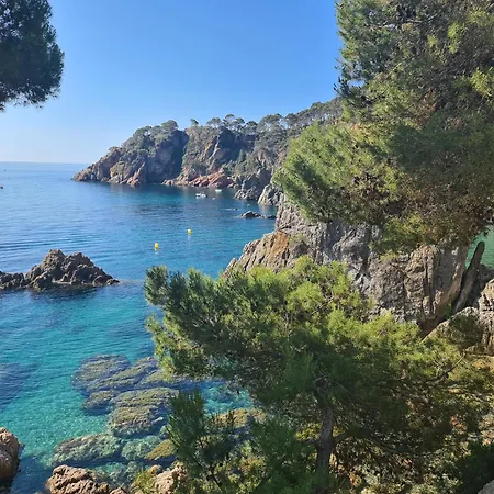 Apartment, Short Walk To The With Aircon Calella De Palafrugell