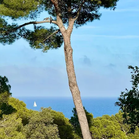 Apartment, Short Walk To The With Aircon * Calella De Palafrugell