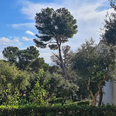 Apartment, Short Walk To The With Aircon Apartamento Calella De Palafrugell